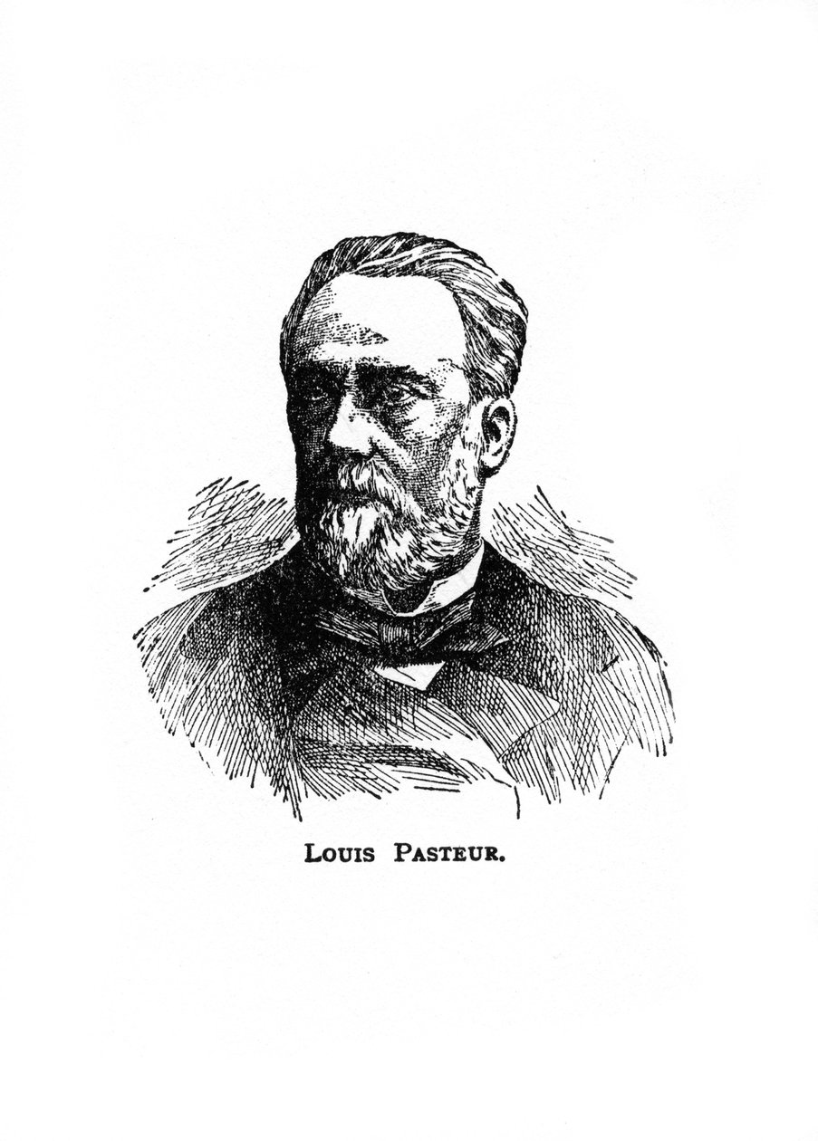 Louis Pasteur, microbiologista e químico francês do século XIX, século XX de Unbekannt