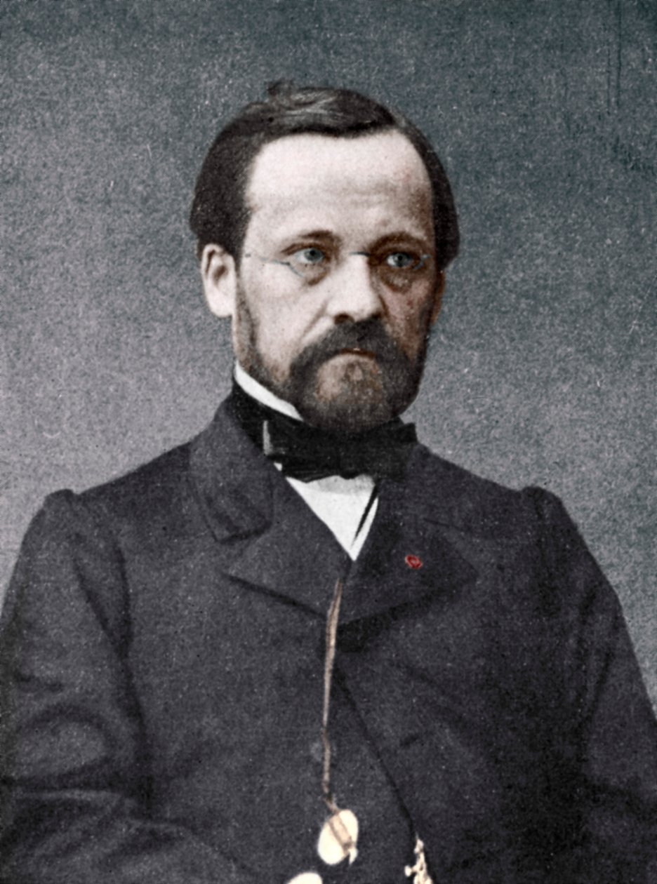 Louis Pasteur, microbiologista e químico francês, século XIX de Unbekannt
