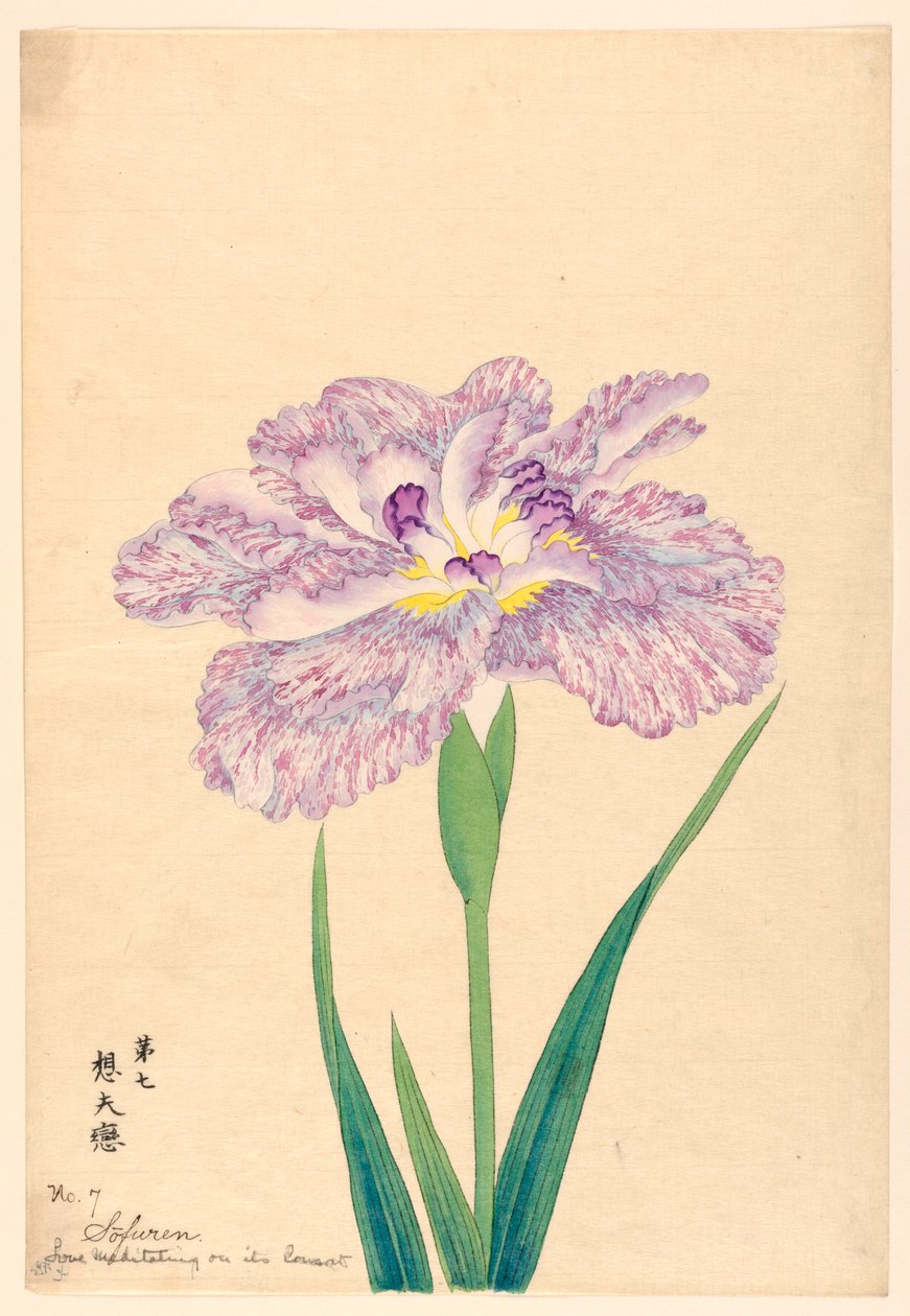Love Meditating on Its Consort (Sofuren), No. 7, ca. 1910 de Unbekannt