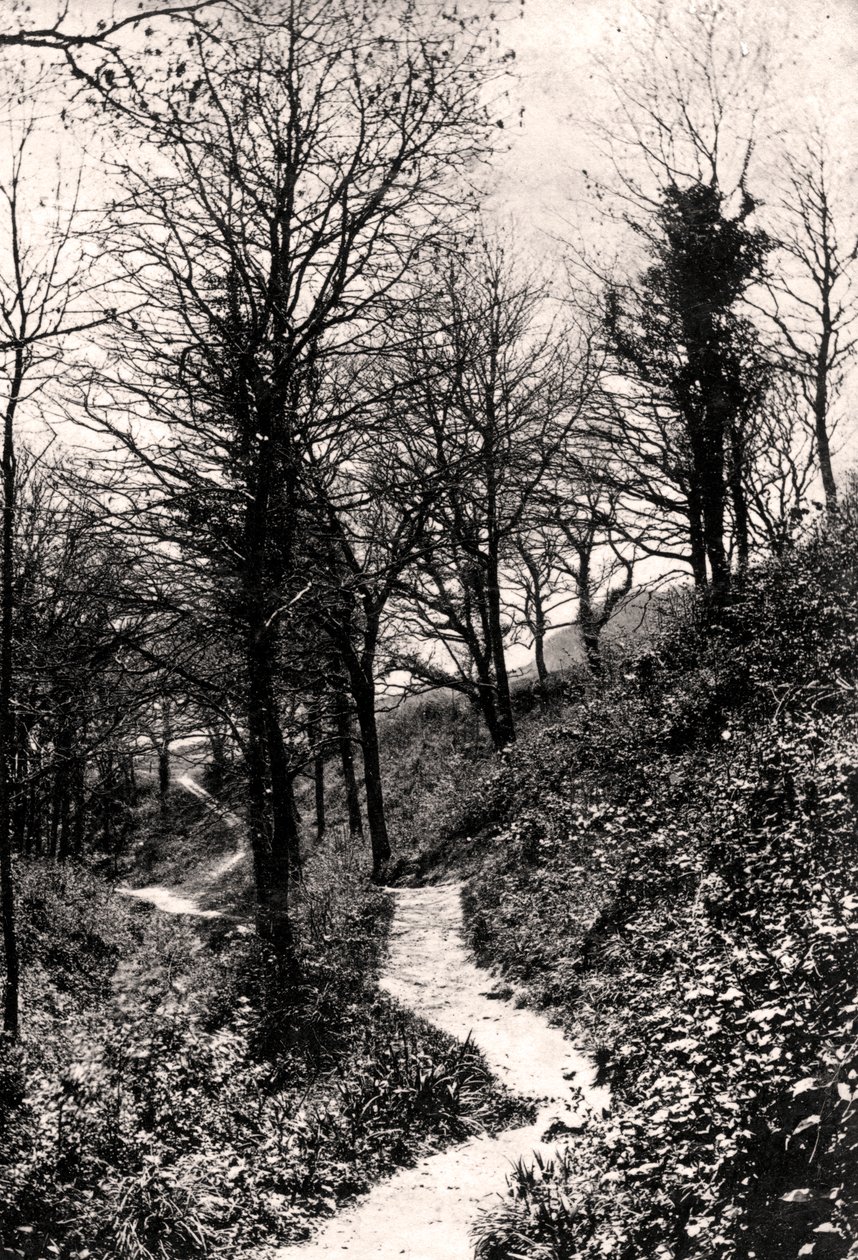 Amantes Lane, Fairlight, Hastings, Sussex de Unbekannt