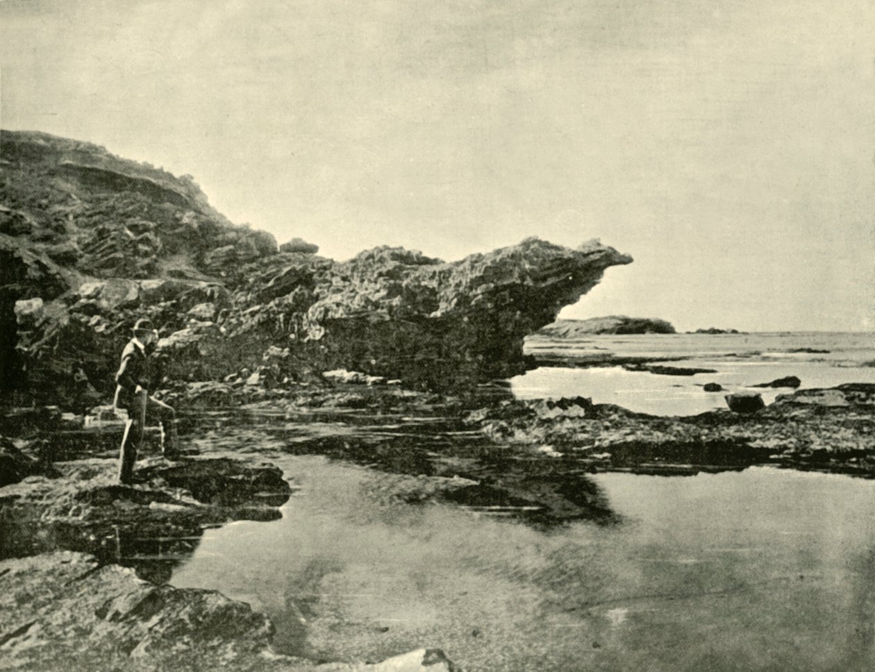 Maré baixa, praia Shelly, Warrnambool, 1901. de Unbekannt