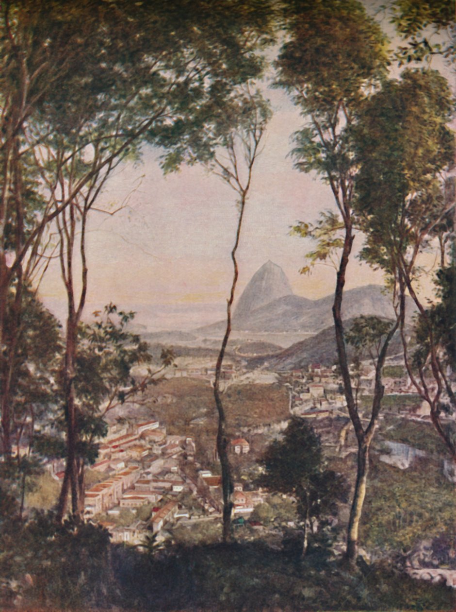 Bosques luxuriantes na colina de Santa Thereza, olhando para os telhados da Lapa, c1935 de Unbekannt