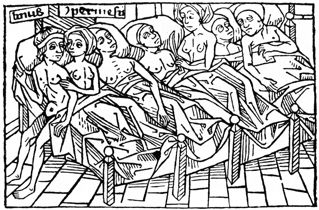 Lynceus e Hypermnestra, 1479 1964. de Unbekannt