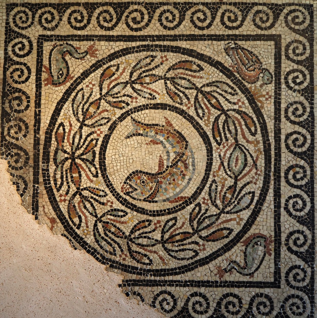 Lyon, região de Auvergne, Rhône Alpes, departamento de Rhône. 69000
Mosaico de Choulans, descoberto em 1967. Representar um peixe de Unbekannt