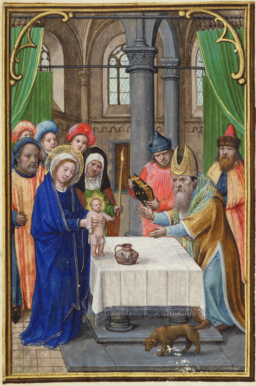 MS.257A A Apresentação no Templo, a partir de um Livro de Orações, no início do século XVI (manuscrito) de Unbekannt