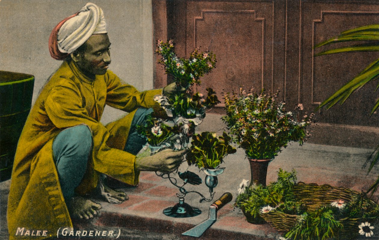 Jardineiro Malee, c1900 de Unbekannt