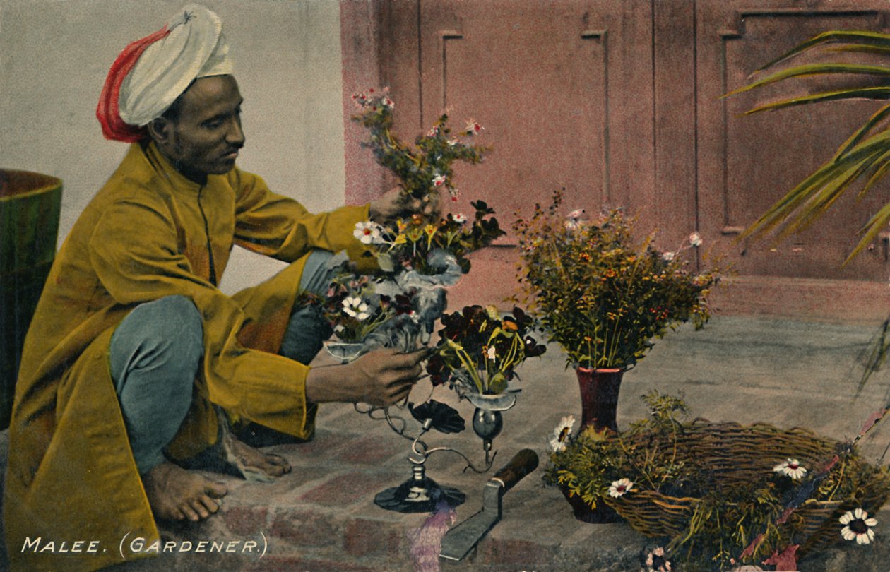 Malee. Jardineiro, c1910. de Unbekannt