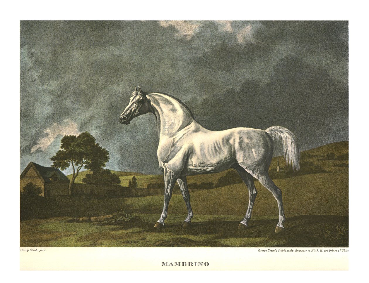 Mambrino, c1779, c1955. de Unbekannt