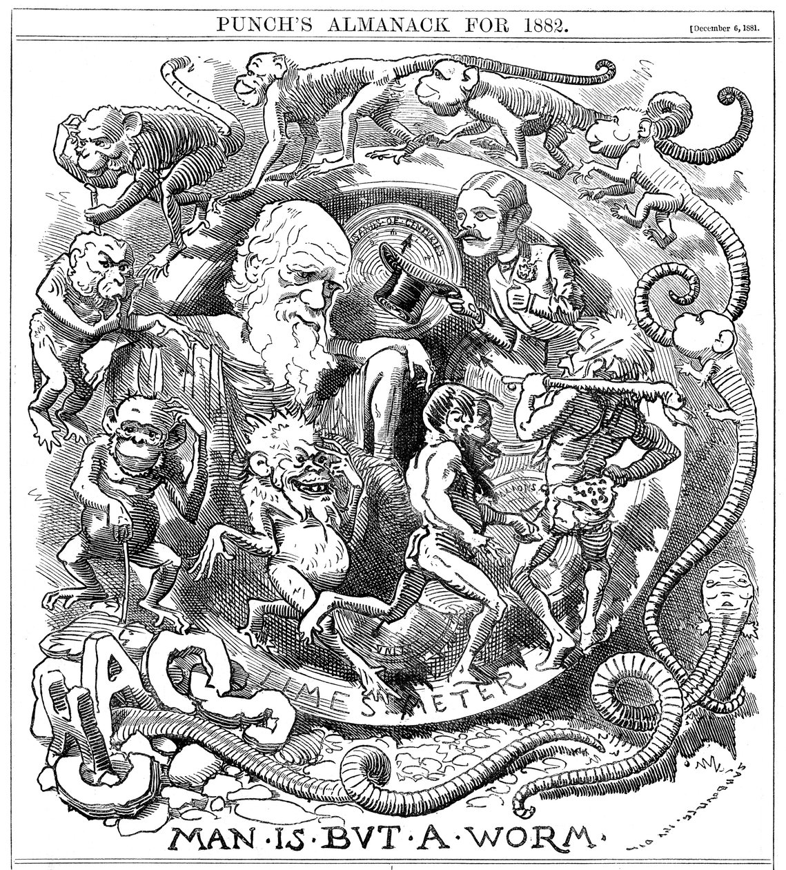 O homem é apenas um verme, desenho animado de Punch mostrando a evolução de verme para homem, 1881 de Unbekannt