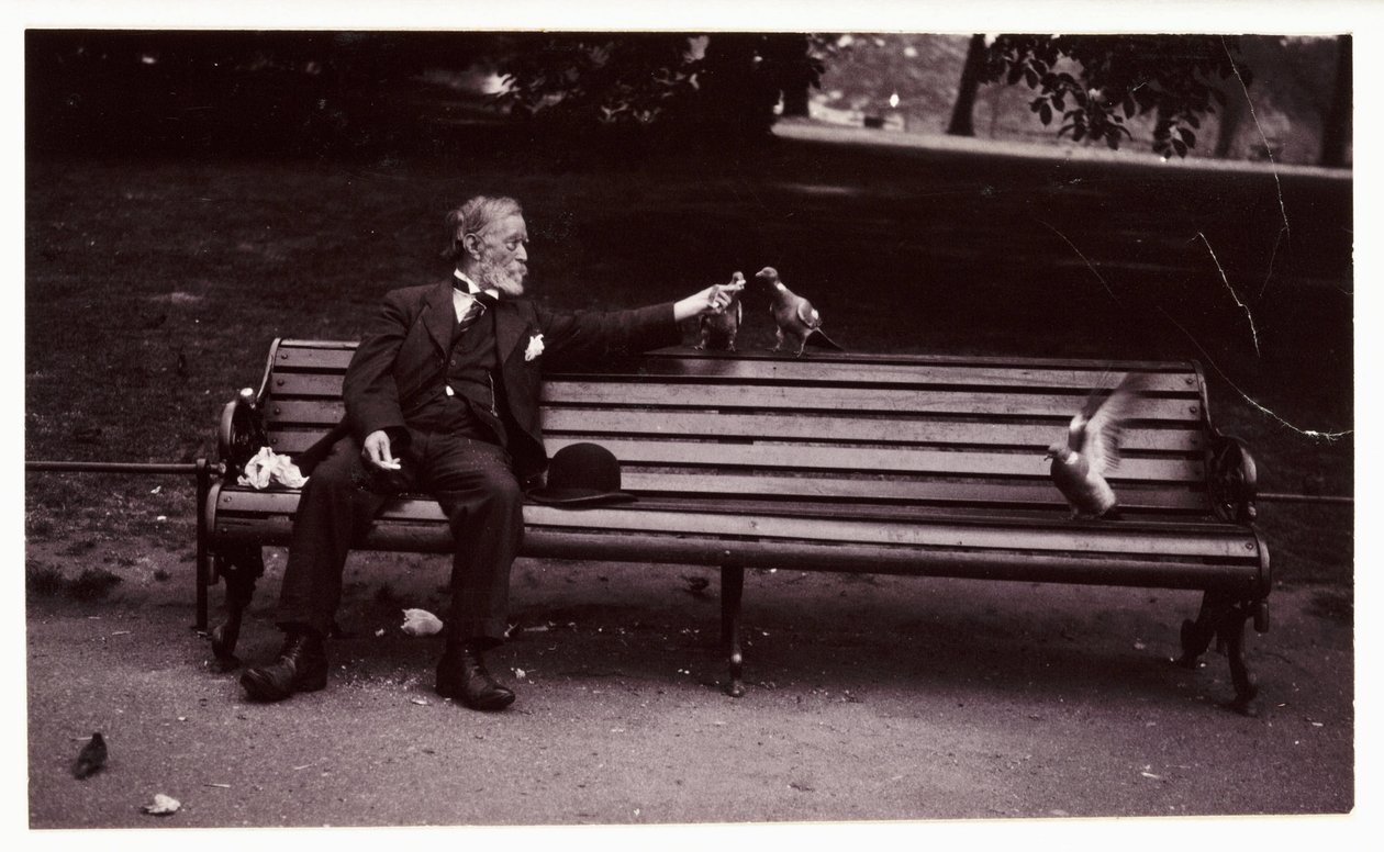 Homem num banco de jardim, c 1920 Uma fotografia de um homem sentado num banco de jardim, alimentando pombos, tirada por um fotógrafo desconhecido em cerca de 1920 de Unbekannt
