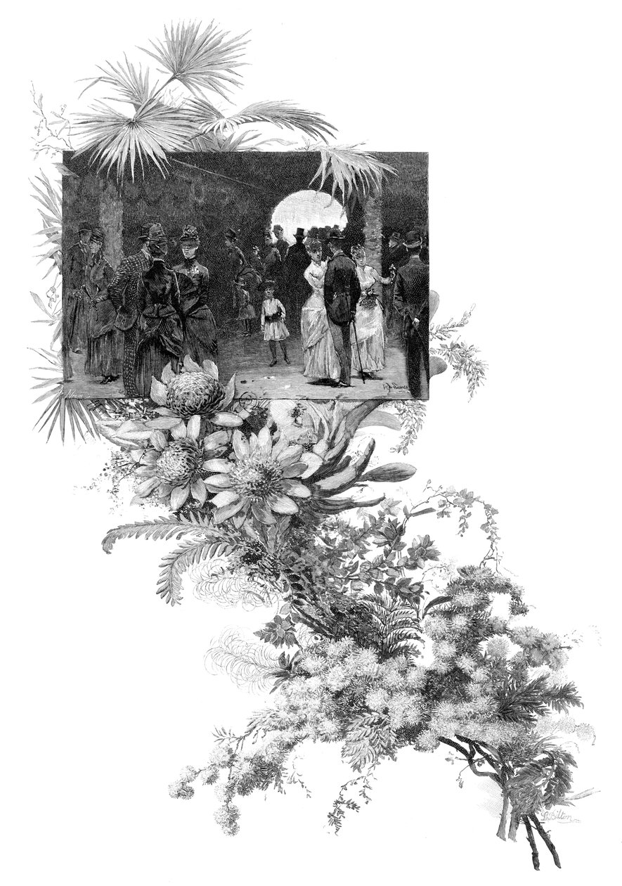 Exposição de flores silvestres viris, Sydney, Nova Gales do Sul, Austrália, 1886 de Unbekannt