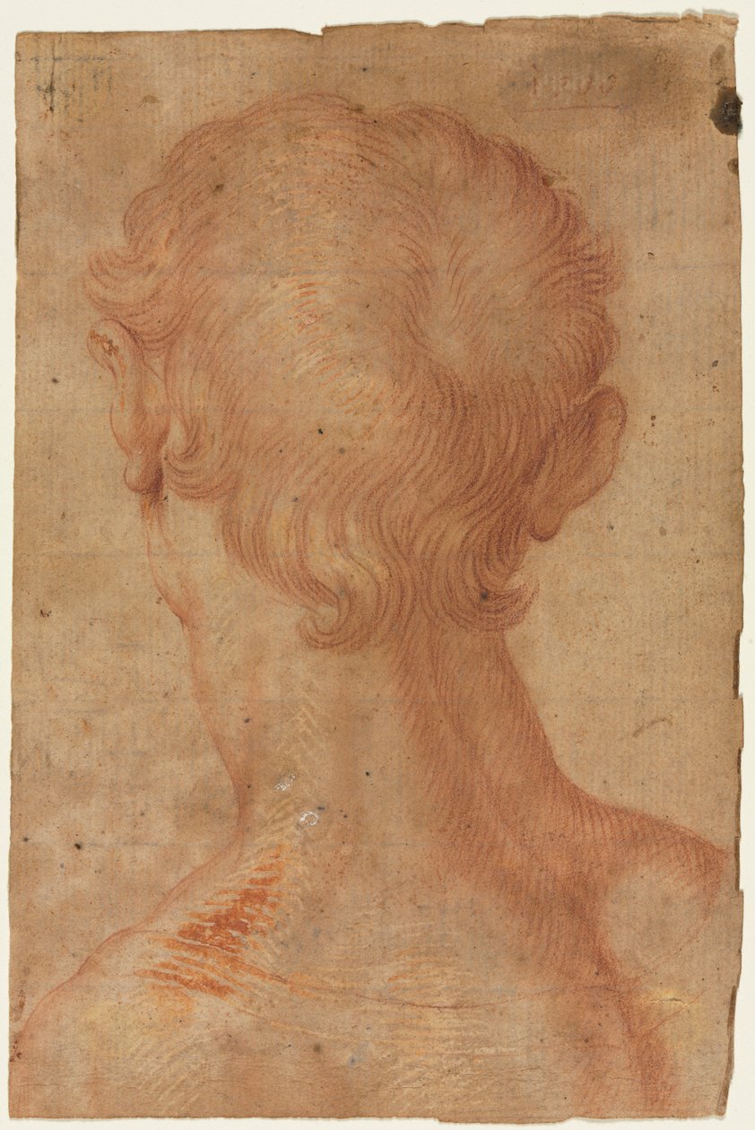 Mans Head from the Back, do século XVI. de Unbekannt