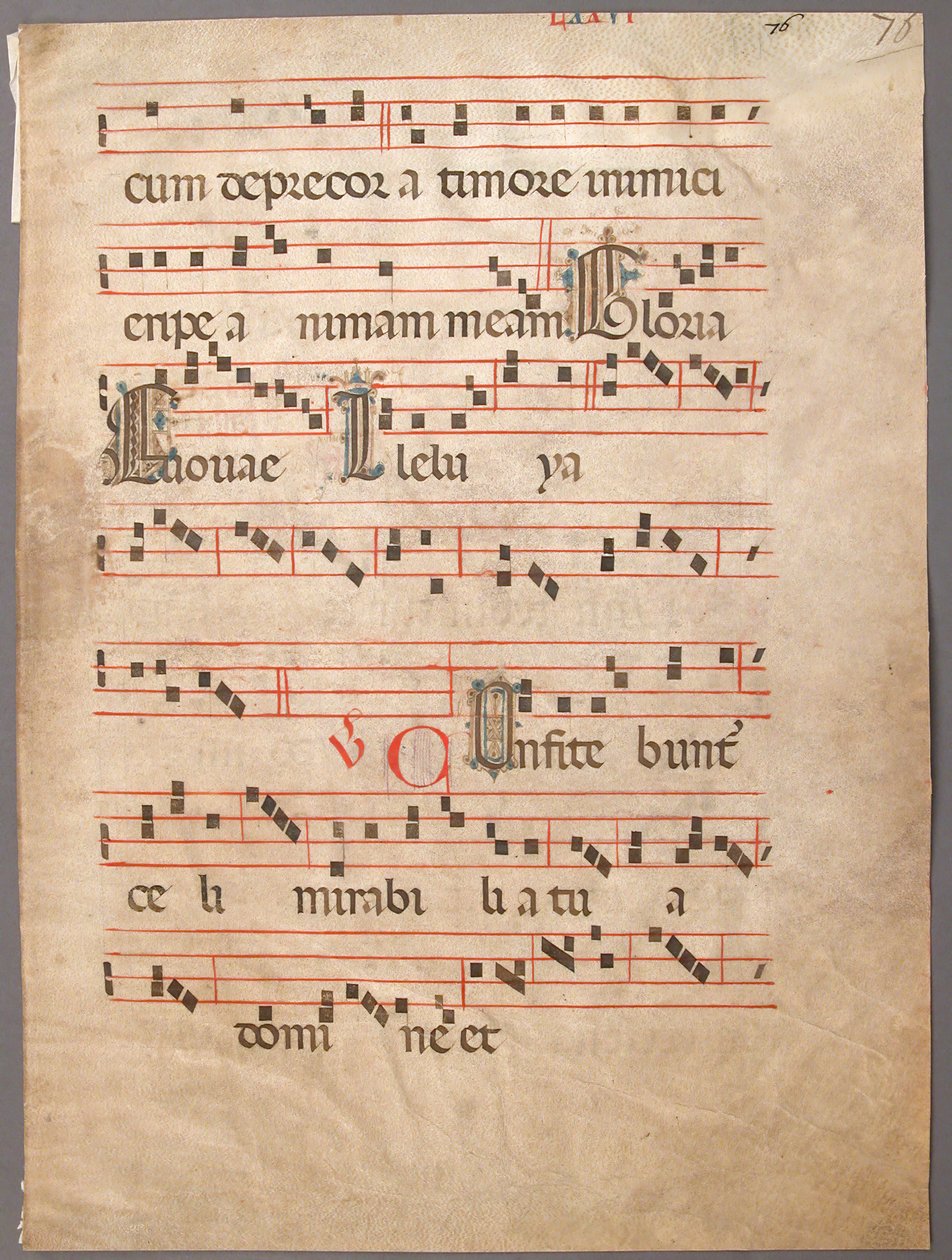 Folha Manuscrito, de um Gradual, primeira metade do século XIV. de Unbekannt