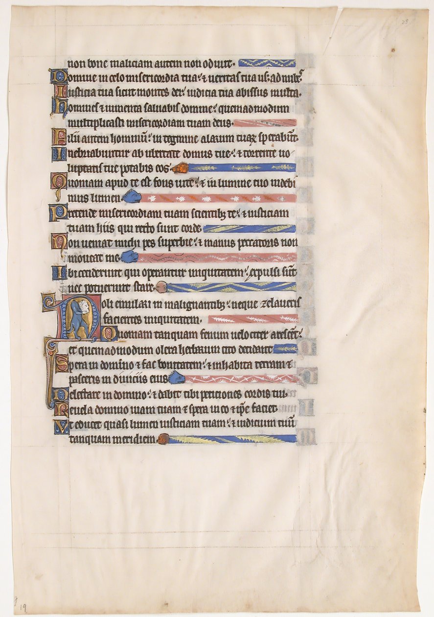 Folha Manuscrito de Saltério Real, século XIII. de Unbekannt