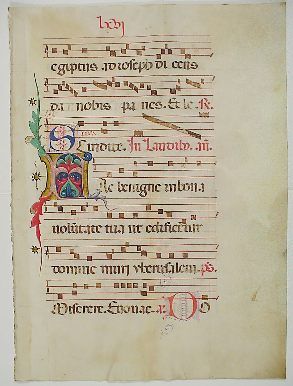 Folha Manuscrito com inicial A, de um antifonário, italiano, séc. XV. de Unbekannt