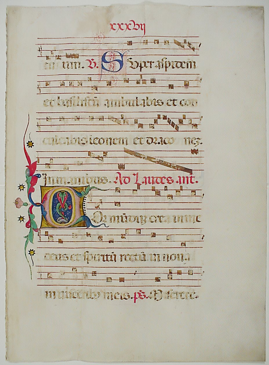 Folha Manuscrito com inicial C, de um Antifonário, italiano, do século XV. de Unbekannt