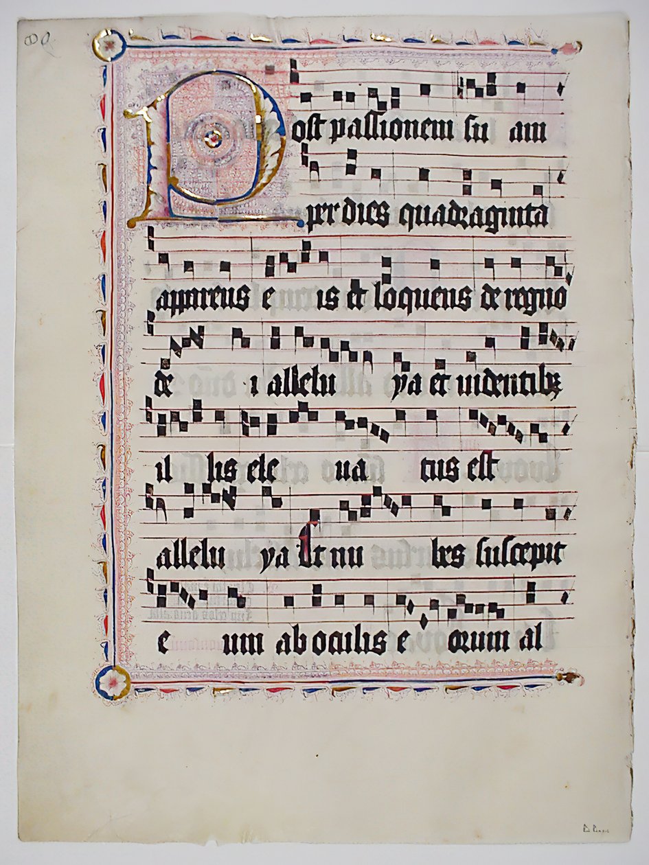 Folha Manuscrito com P inicial, de um antifonário, alemão, segundo quartel do século XV. de Unbekannt