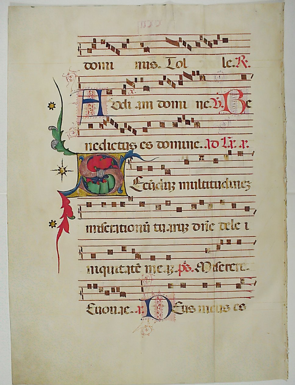 Folha manuscrita com inicial S, de um antifonário, italiano, séc. XV. de Unbekannt