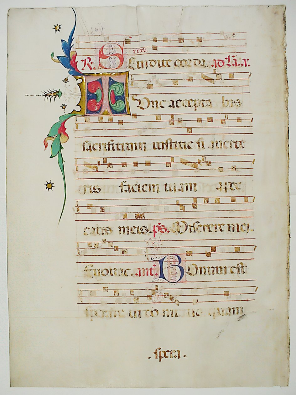 Folha Manuscrito com inicial T, de um Antifonário, italiano, do século XV. de Unbekannt