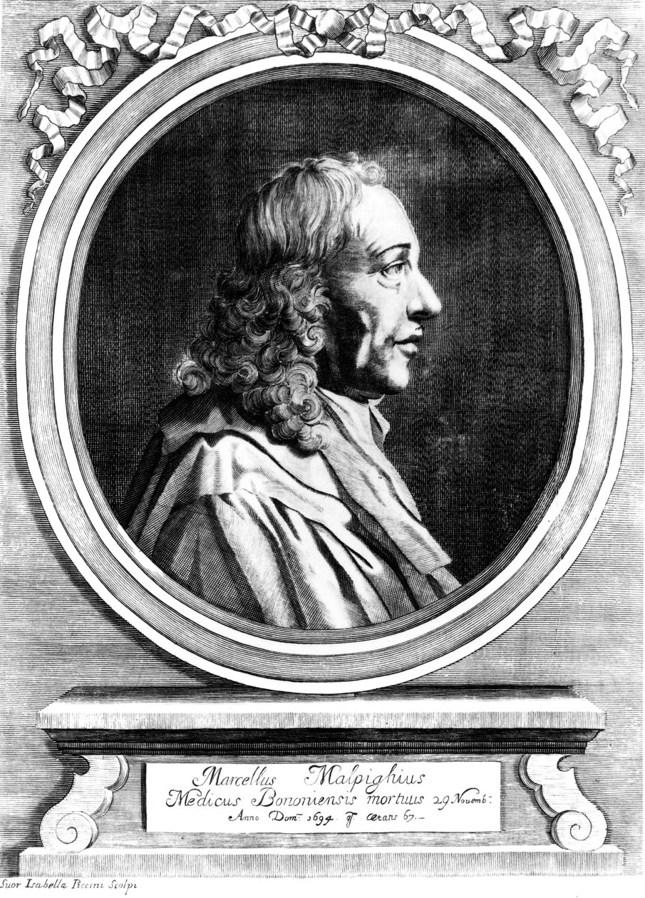 Marcello Malpighi, pioneiro da medicina italiana, c 1870 de Unbekannt