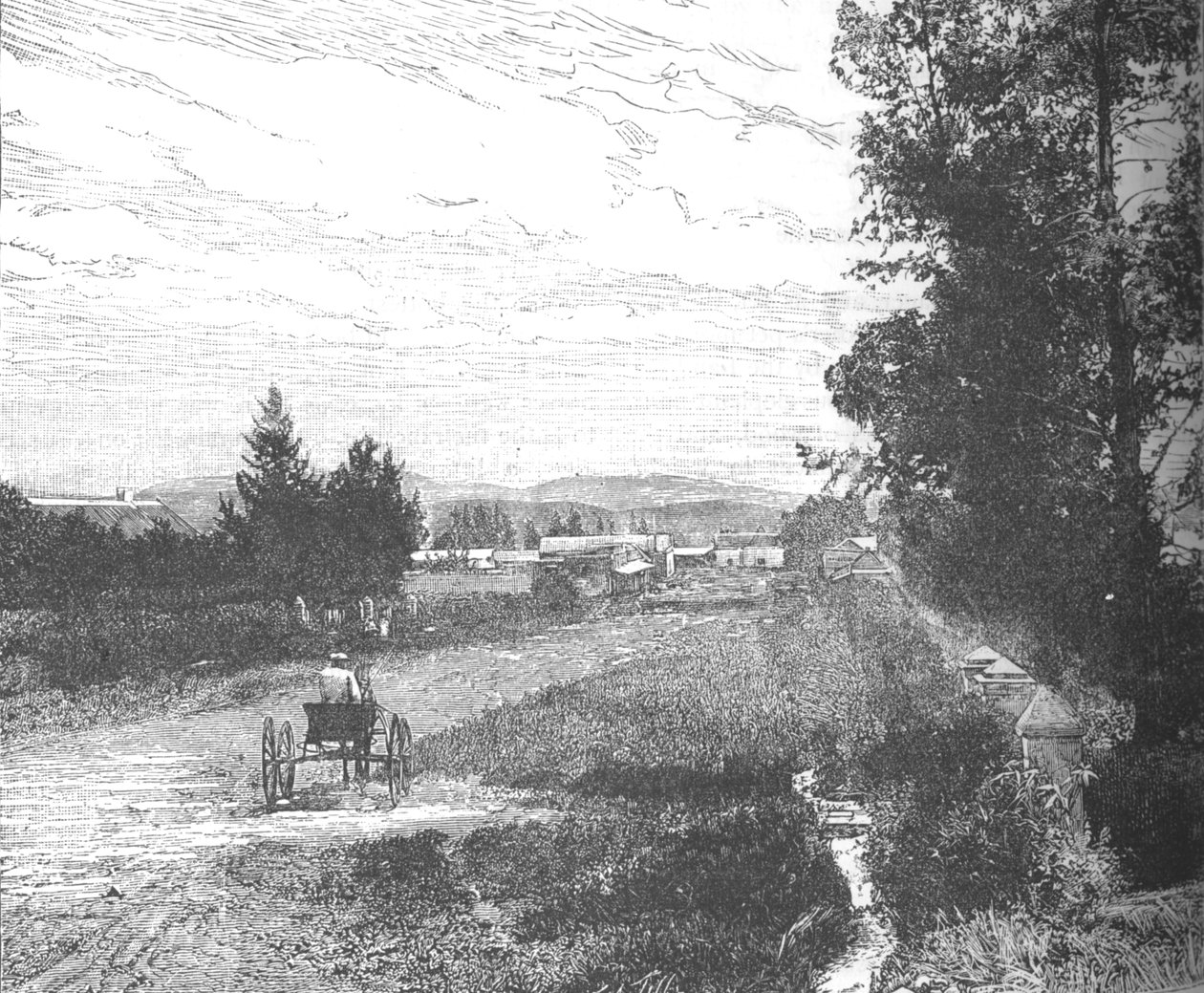 Market Street, Pretória, c1880s de Unbekannt