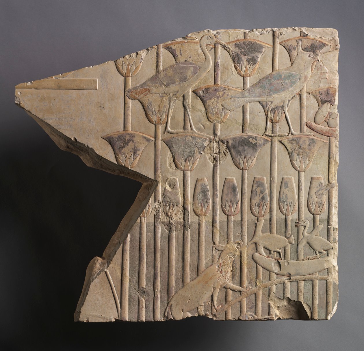 Cena do pântano com gato e pássaros, c. 667-647 aC de Unbekannt