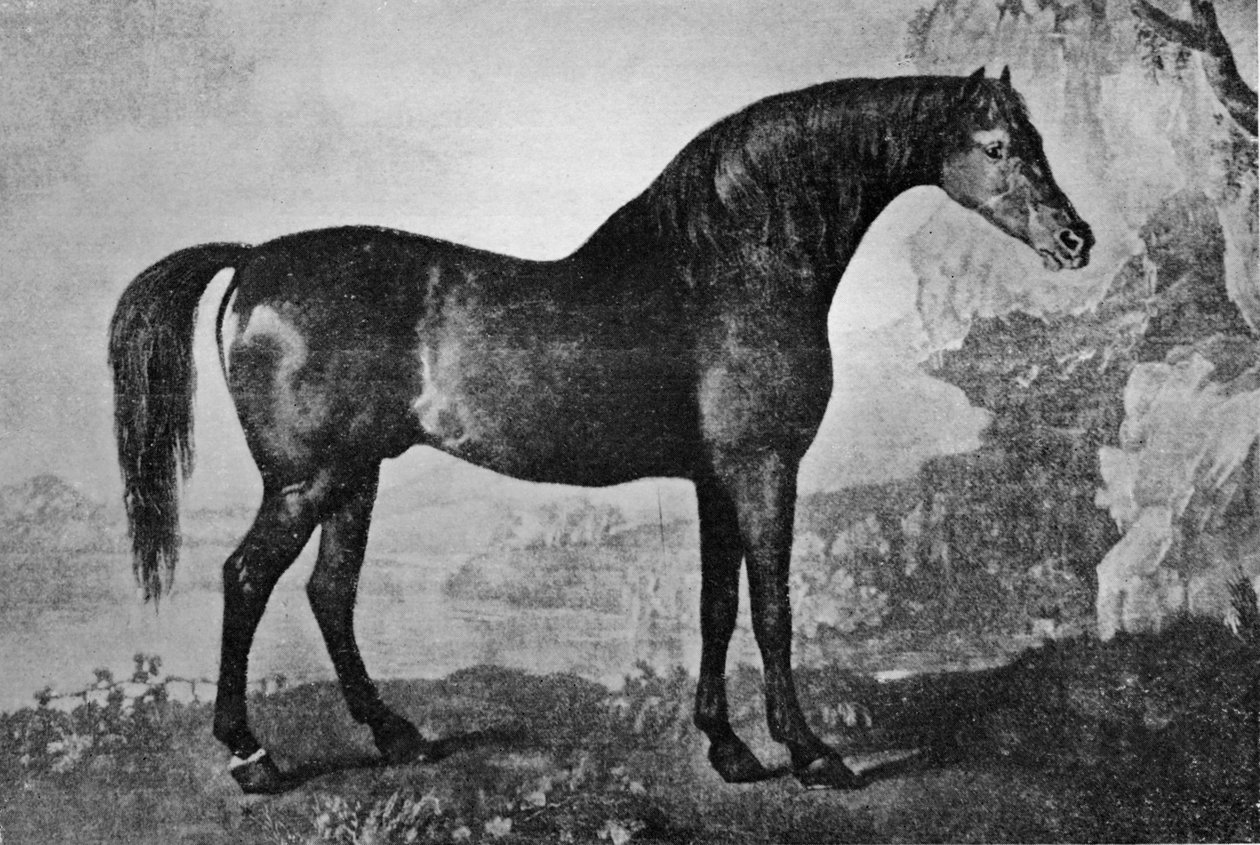 Marske, 1750-1779, 1911 de Unbekannt