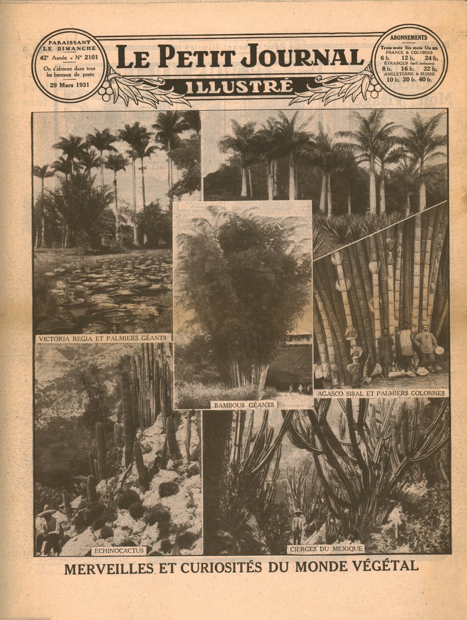 Maravilhas e curiosidades do mundo das plantas, 1931. de Unbekannt