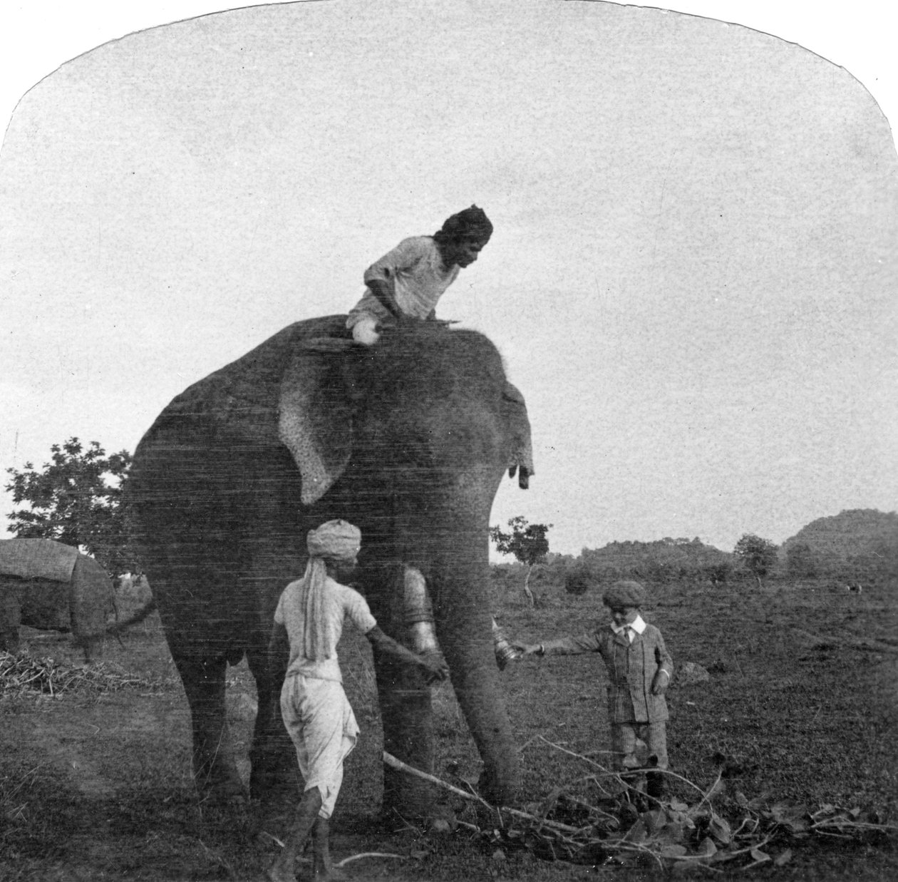 Mestre Ekbal alimentando um elefante, Índia, anos 1900 de Unbekannt
