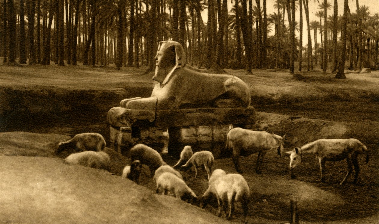 Memphis - a esfinge de alabastro, c1918-c1939. de Unbekannt