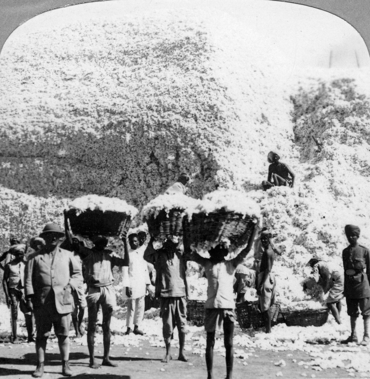 Homens carregando cestas de algodão em uma fábrica de algodão de Indore, na Índia, de 1900 de Unbekannt