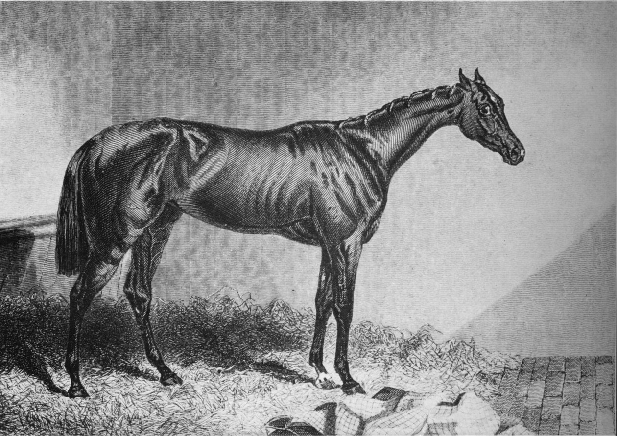 Mendicant, século XIX, 1911 de Unbekannt