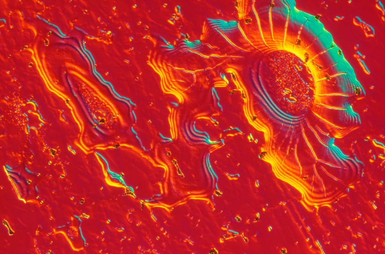 Micrográficos (Light) Aço inoxidável com depósito de sílica coloidal de Unbekannt