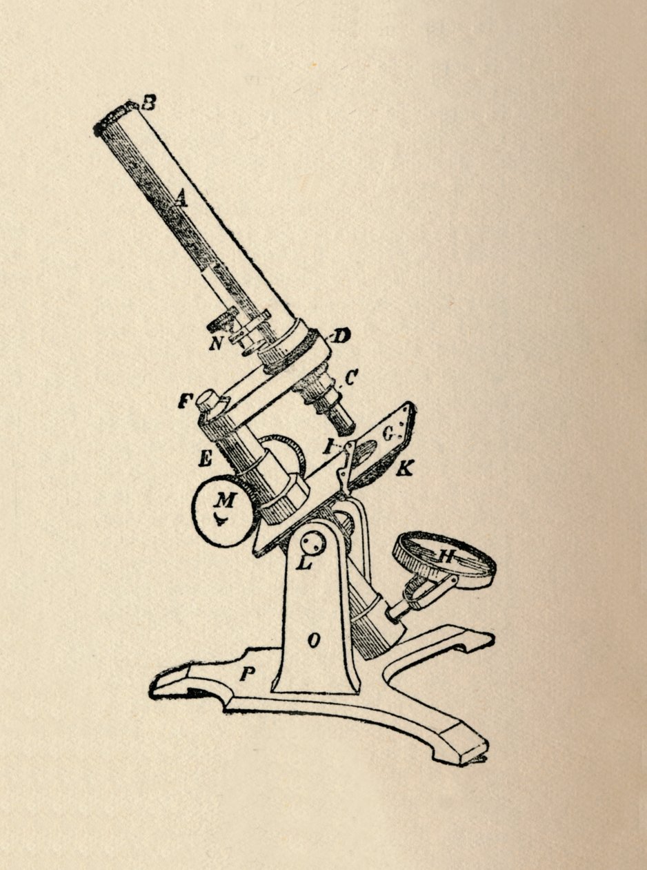 Microscope, 1912 de Unbekannt