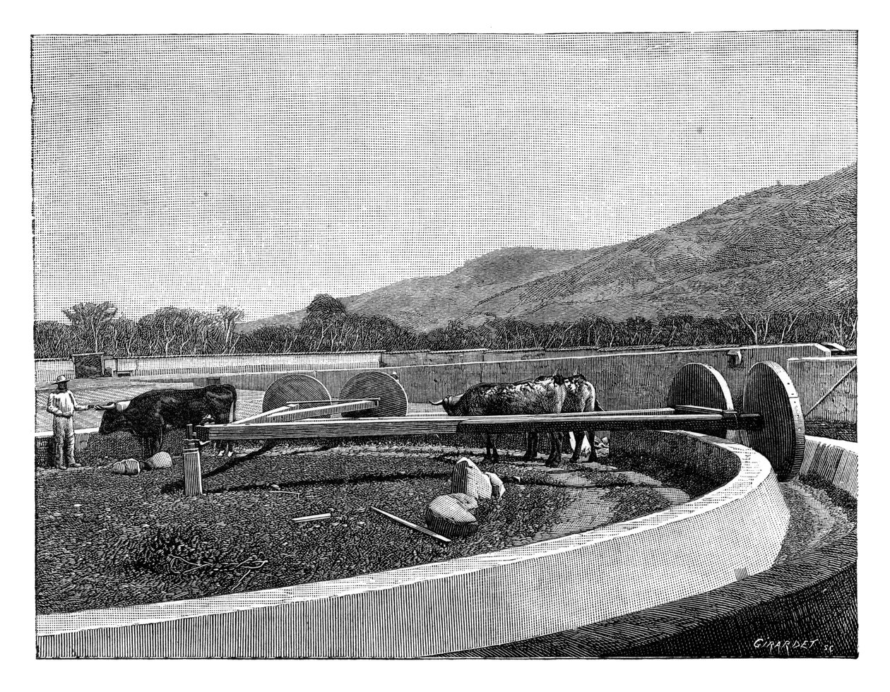 Moinho para descascar café, América Central, c1890 de Unbekannt