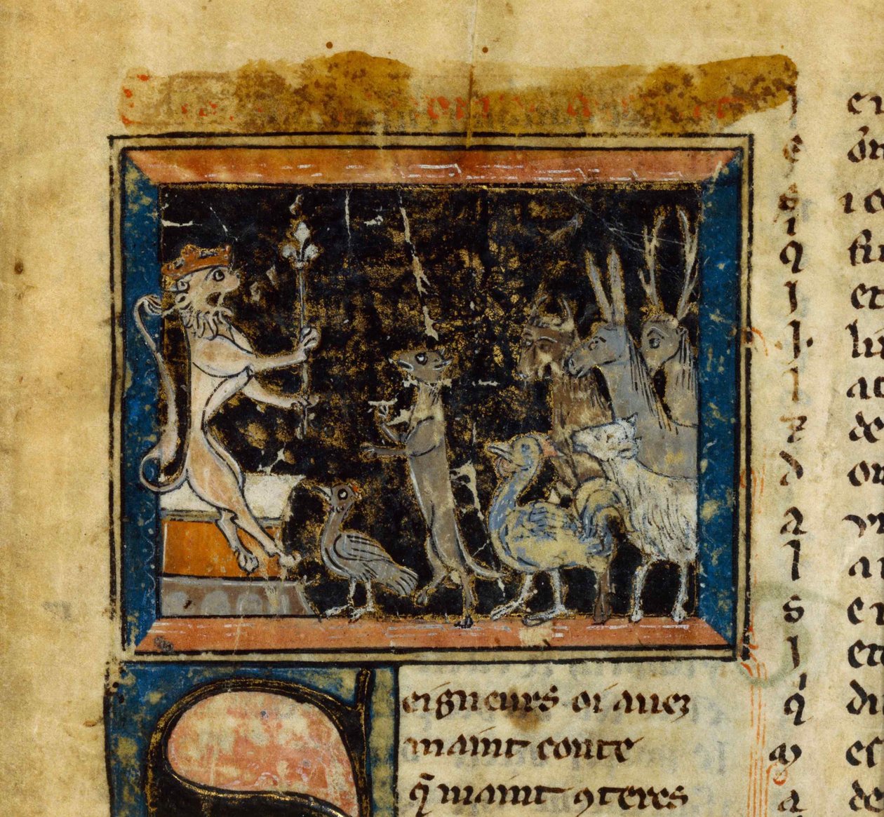 Miniatura do Le Roman de Renart, século XIII. de Unbekannt