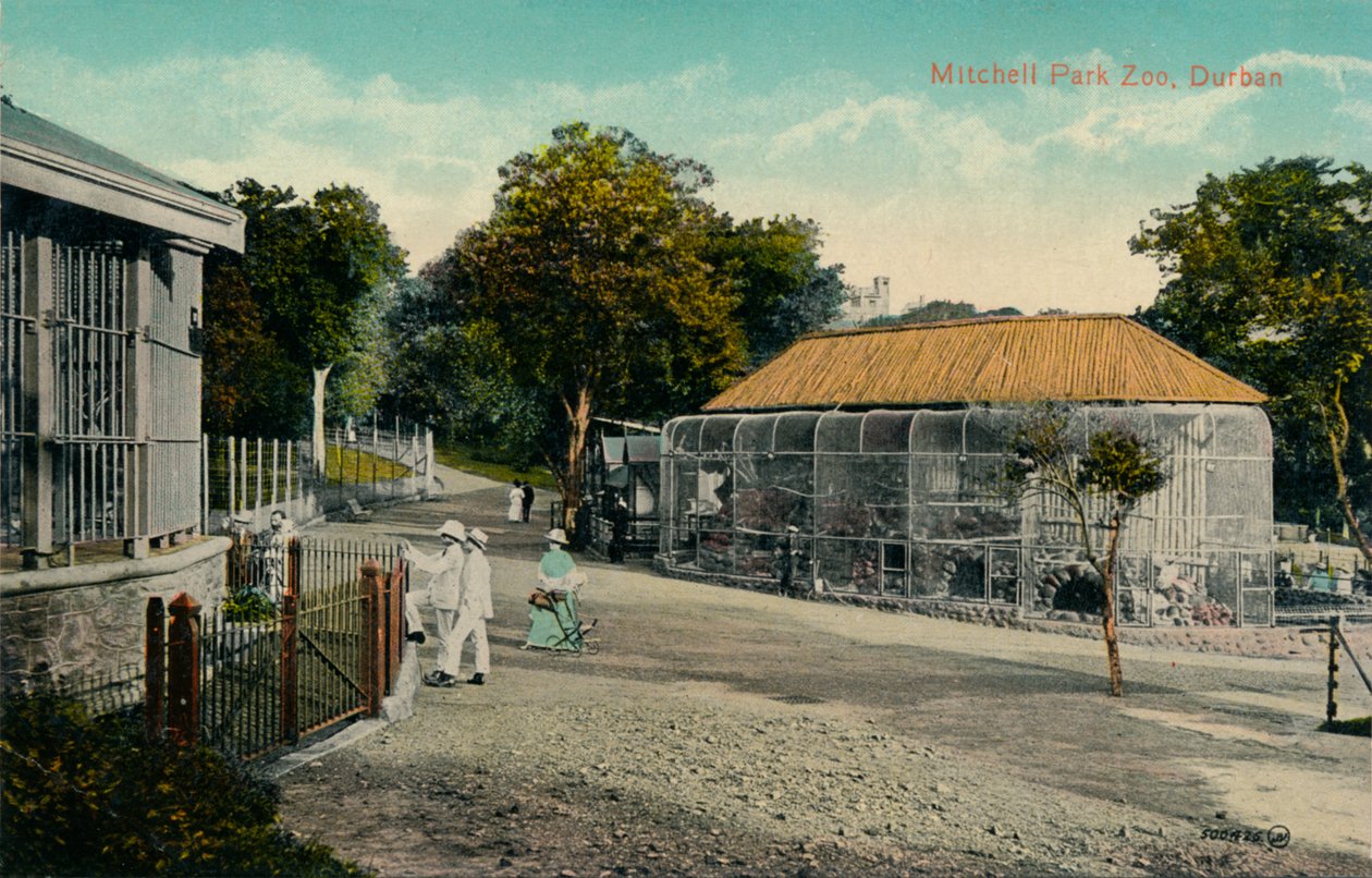 Zoológico de Mitchell Park, Durban, c1915 de Unbekannt