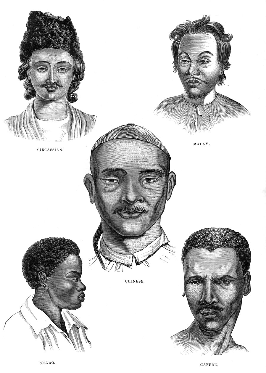 Raças da Mongólia, século XIX de Unbekannt