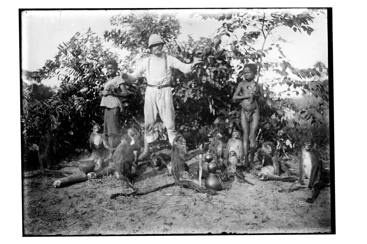 Monkeys, c.1910 (foto a p/b) de Unbekannt