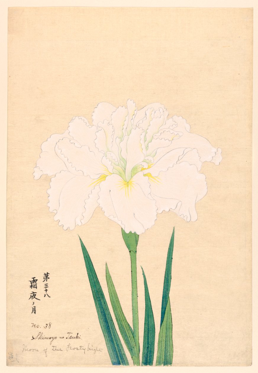 Moon of the Frosty Night (Shimoyo no Tsuki), No. 38, ca. 1910 de Unbekannt
