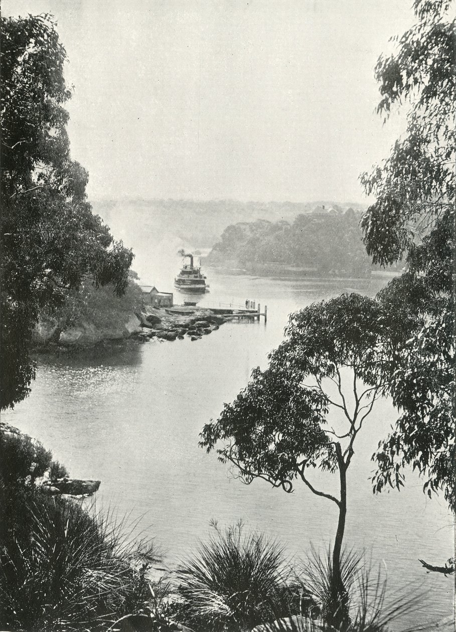 Mosmans Bay, de Cremorne Jetty, c1900. de Unbekannt