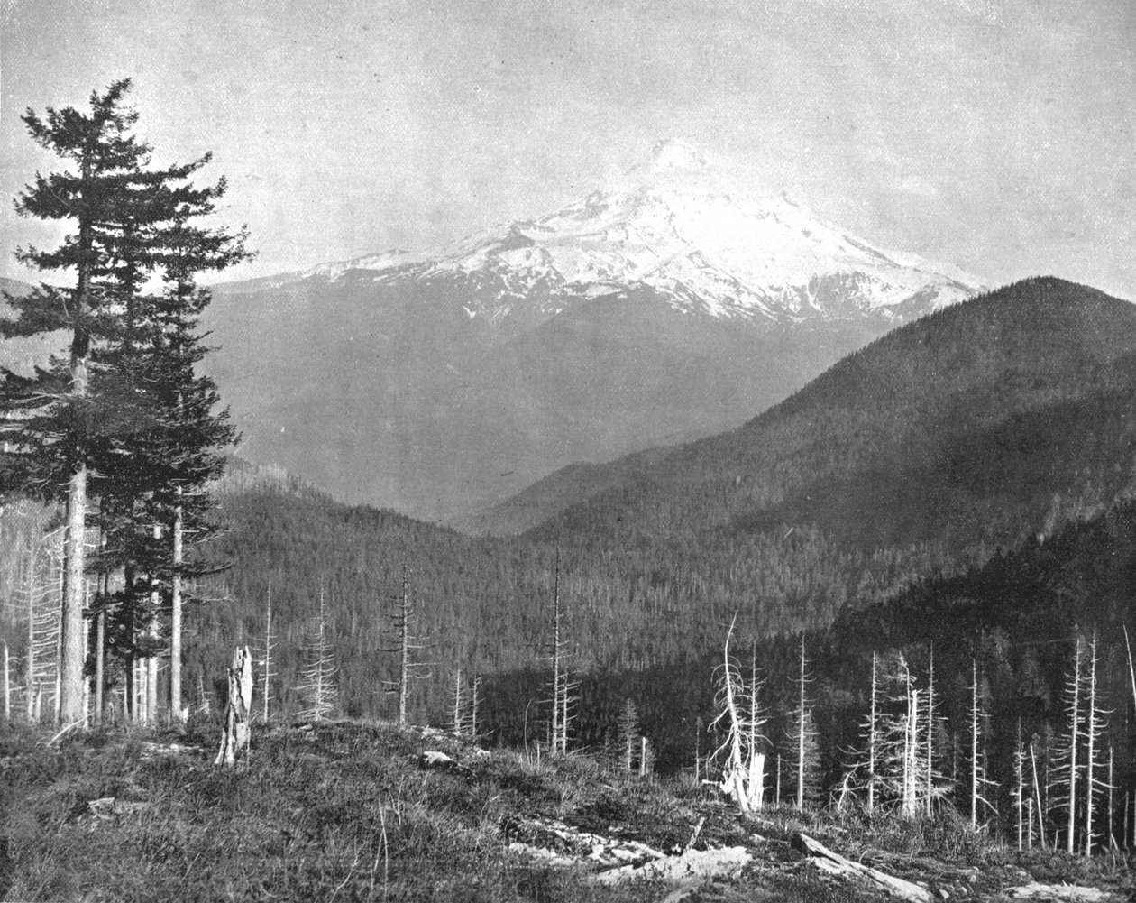 Mount Hood, Oregon, EUA, c1900. de Unbekannt