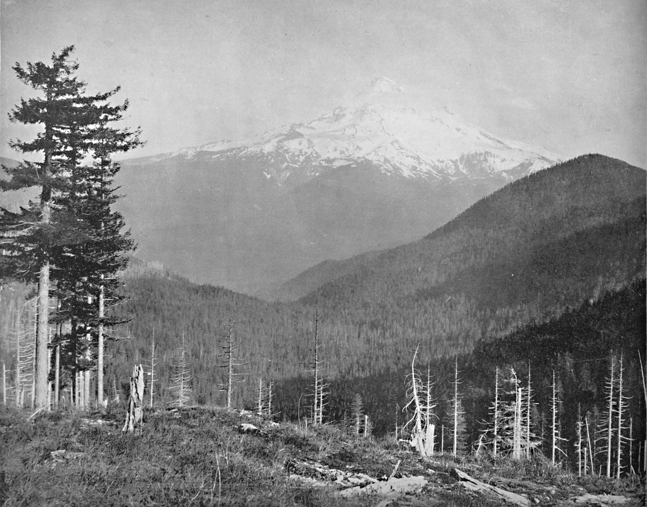 Mount Hood, Oregon, c1897. de Unbekannt