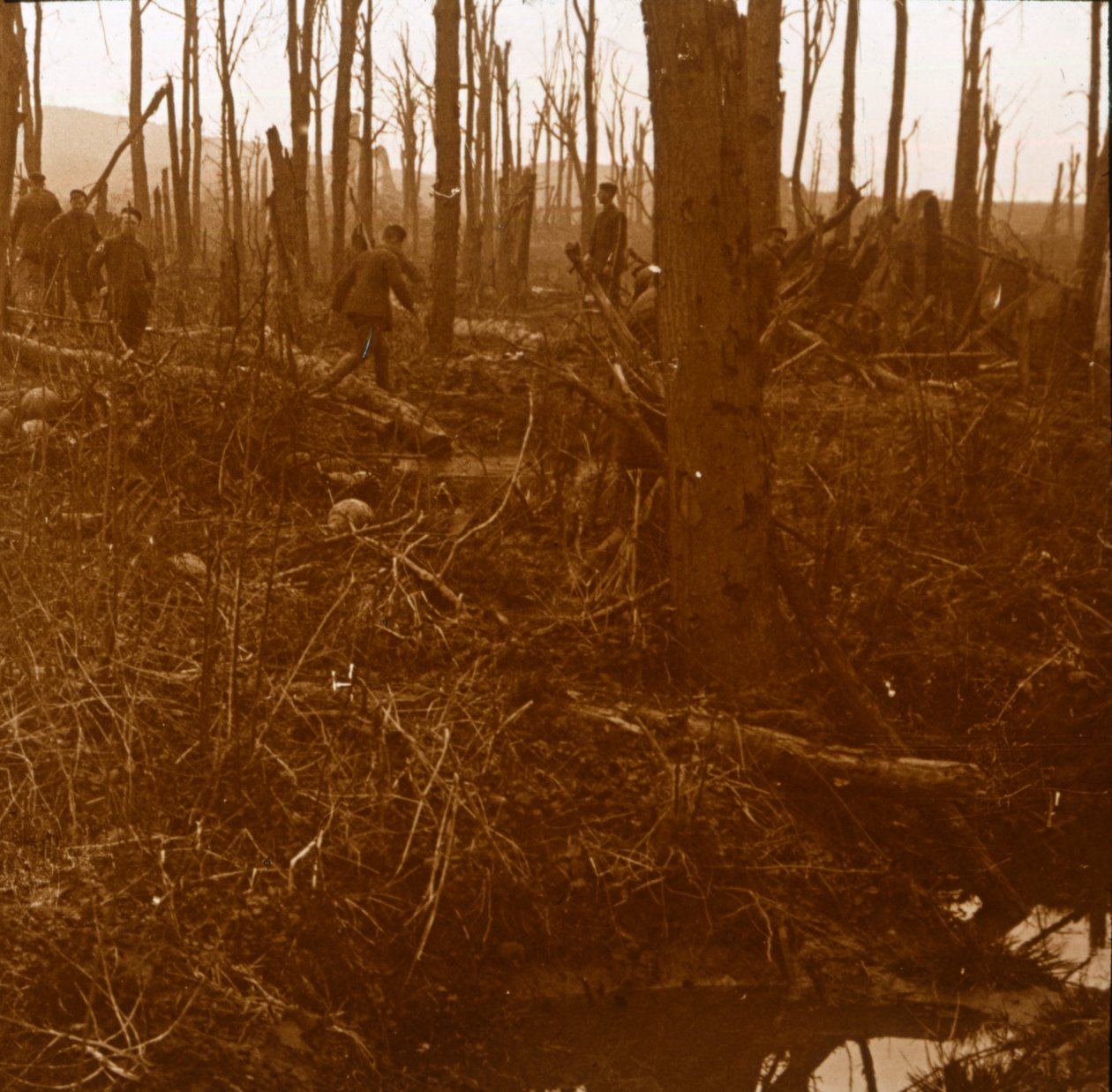 Mount Kemmel, Flandres, Bélgica, c1914-c1918 de Unbekannt