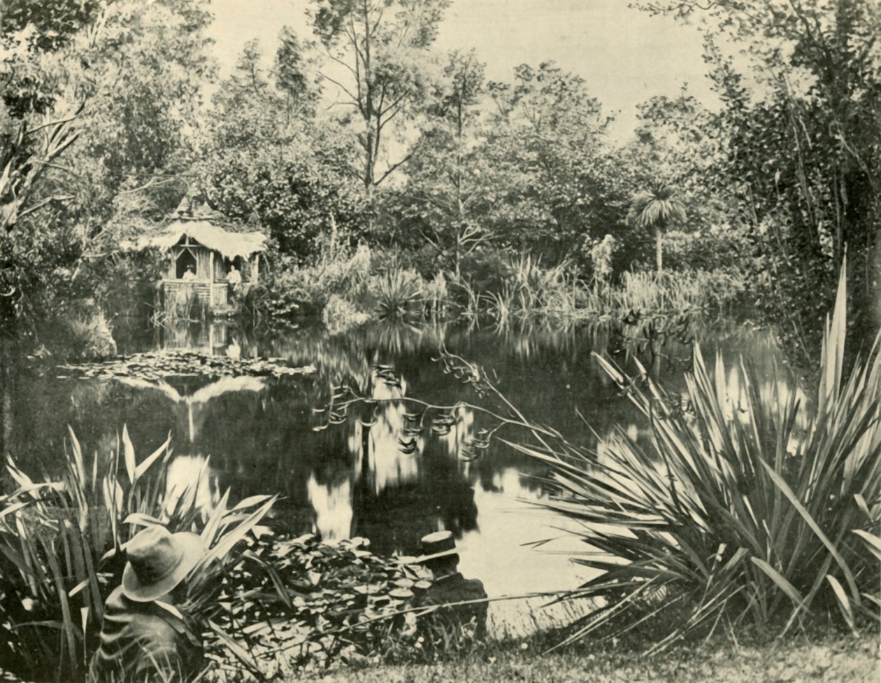 Sr. Ryans Gardens, Monte Macedon, Victoria, 1901. de Unbekannt