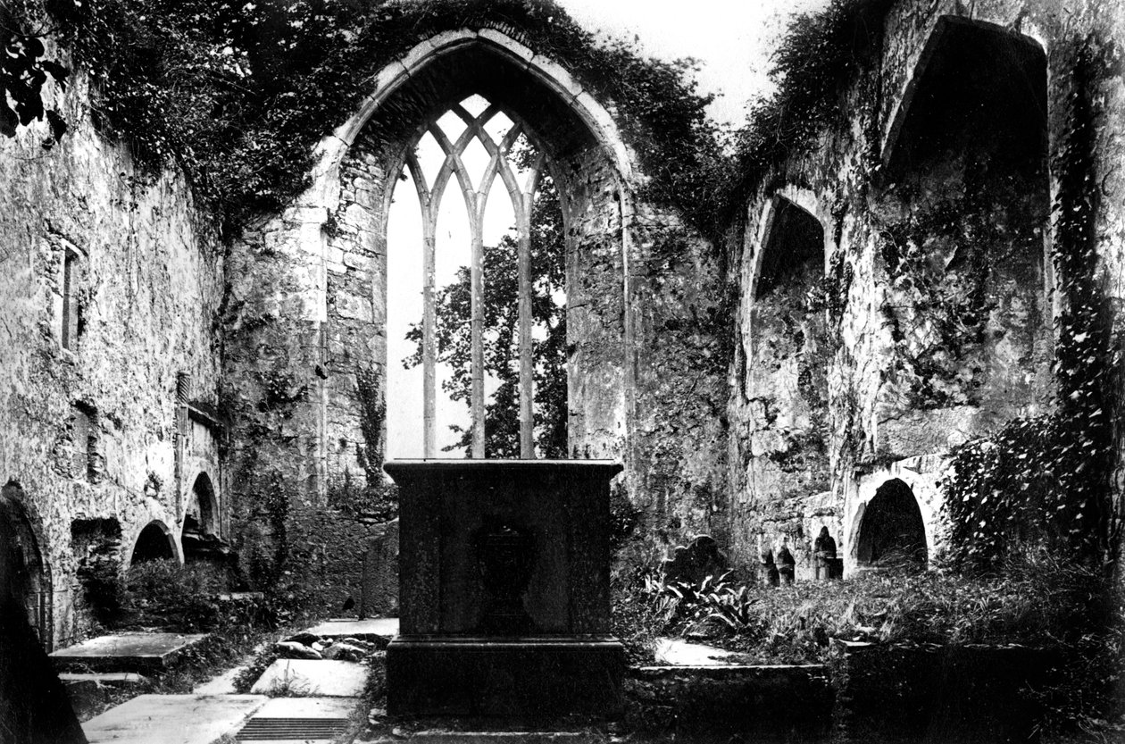 Abadia de Muckross, Killarney, c1882 de Unbekannt