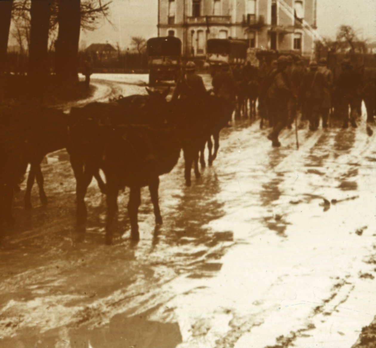 Trem de mulas com suprimentos, Verdun, norte da França, c1914-c1918 de Unbekannt