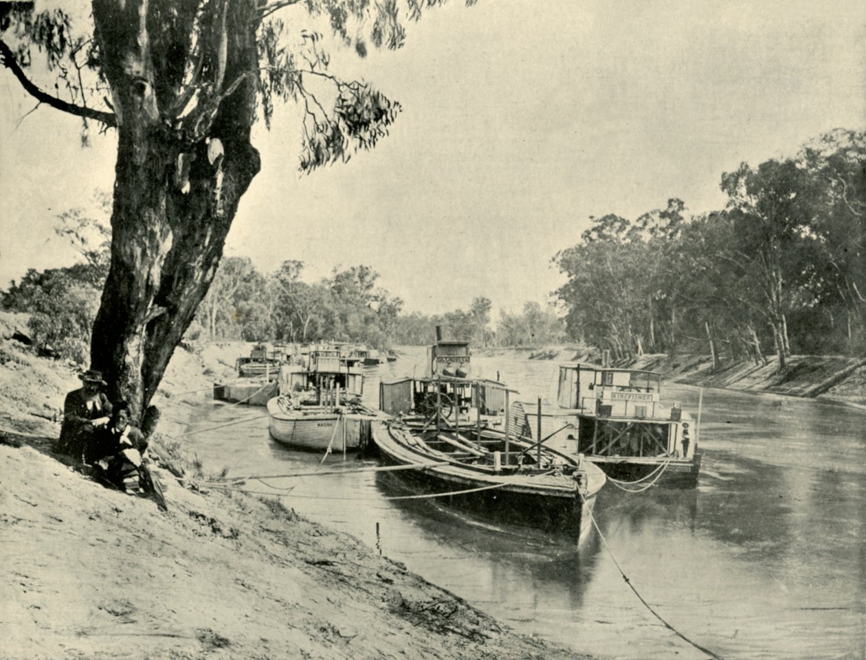 Barcas de Murray e barcos a vapor em Echuca, 1901. de Unbekannt