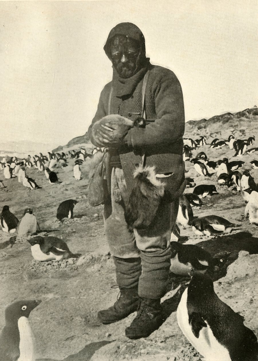 Murray Holding Young Penguins, c1908, 1909. de Unbekannt