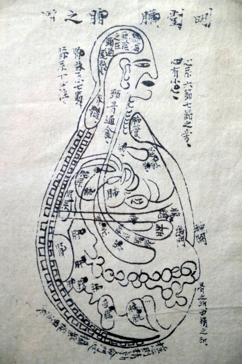 Museum of Traditional Vietnamese Medicine, The channels and vessels, Livro de acupunctura, Cidade de Ho Chi Minh, Vietname de Unbekannt
